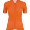 COLORE - MAILLOT